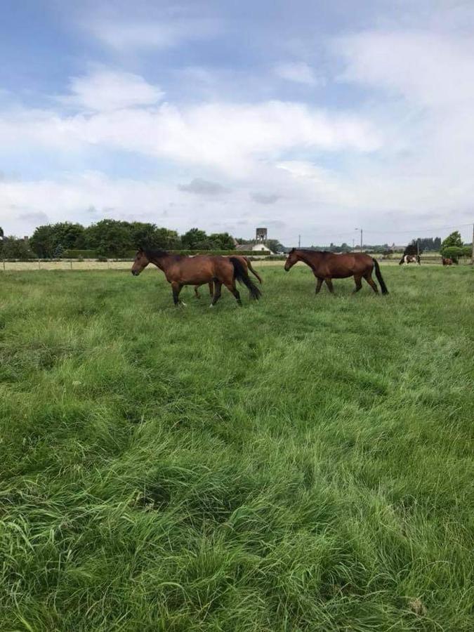 Ferme De La Forterie Verlinghem Luaran gambar