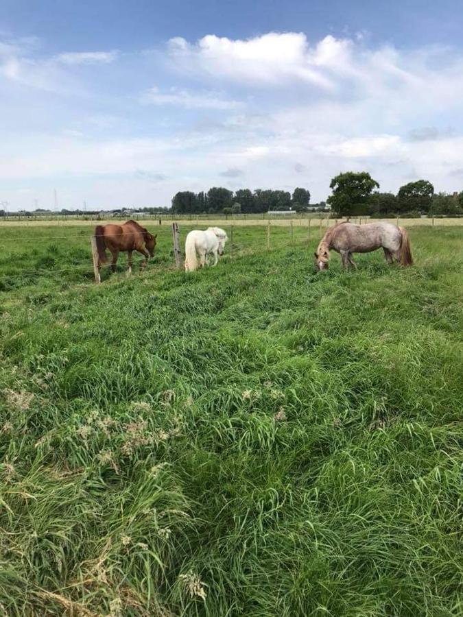 Ferme De La Forterie Verlinghem Luaran gambar