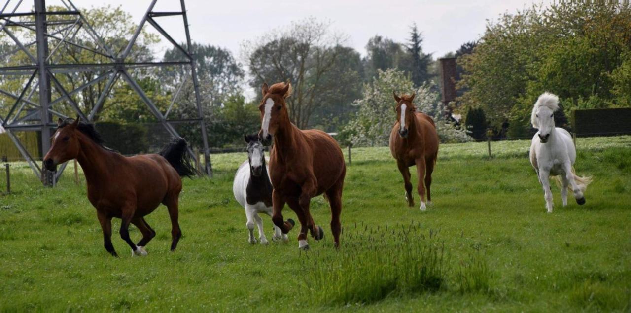 Ferme De La Forterie Verlinghem Luaran gambar